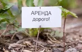 Минторг предложил снизить арендные ставки ИП, торгующим отечественным товаром